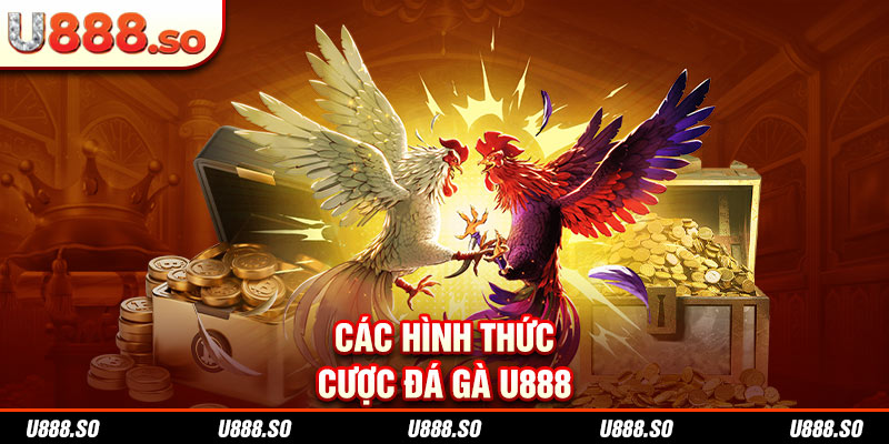 Các hình thức cược đá gà U888