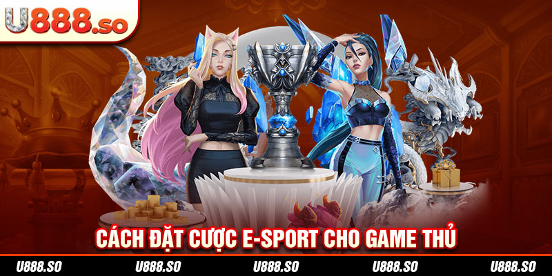 Cách đặt cược E-sport cho game thủ