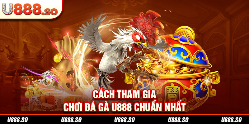 Cách tham gia chơi đá gà U888 chuẩn nhất