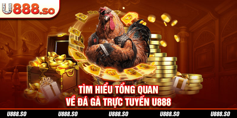 Tìm hiểu tổng quan về đá gà trực tuyến U888